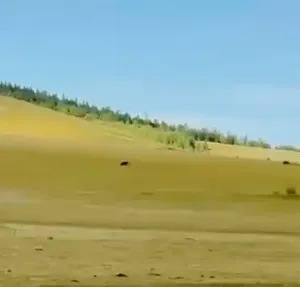 ӨМНӨДЭЛГЭР СУМЫН ИРГЭДИЙН ГРУПП.
❗❗АНХААРУУЛГА❗❗
БААВГАЙ ЦАГААН ДАВААНЫ АРЫН МОДНООС ХАР ЭНГЭР РҮҮ ОРСОН ТУЛ ИРГЭД, МАЛЧИД, ХАДЛАНЧИД ТА БҮХЭН СОНОР СЭРЭМЖТЭЙ БАЙЖ ӨӨРСДИЙН АЮУЛГҮЙ БАЙДАЛ БОЛОН ЭД ХӨР