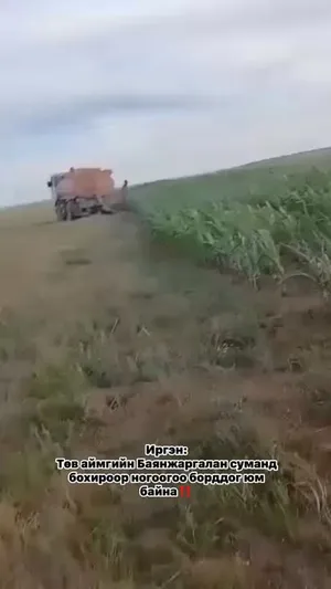 ИРГЭН: ТӨВ АЙМГИЙН БАЯНЖАРГАЛАН СУМАНД БОХИР УСААР НОГОО БОРДОЖ БАЙСАН ЗӨРЧИЛ ИЛЭРЧЭЭ